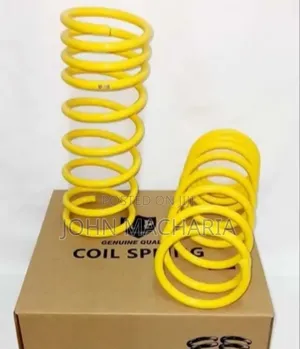 Rear Coil Spring for Toyota Probox New Model
