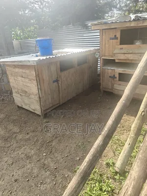 Twin Dog House and Double Chicken Coup