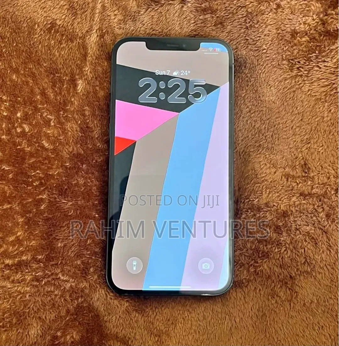 Apple iPhone 12 Pro 256 GB Gray