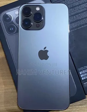 Apple iPhone 12 Pro Max 256 GB Gray