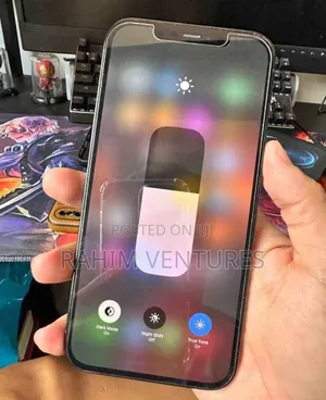 Apple iPhone 12 Pro Max 128 GB Gray