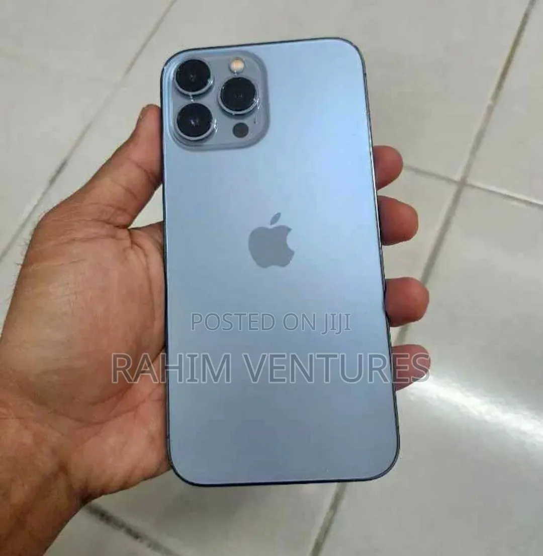Apple iPhone 13 Pro Max 256 GB Gray