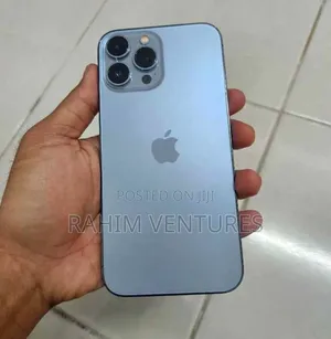 Apple iPhone 13 Pro Max 256 GB Gray