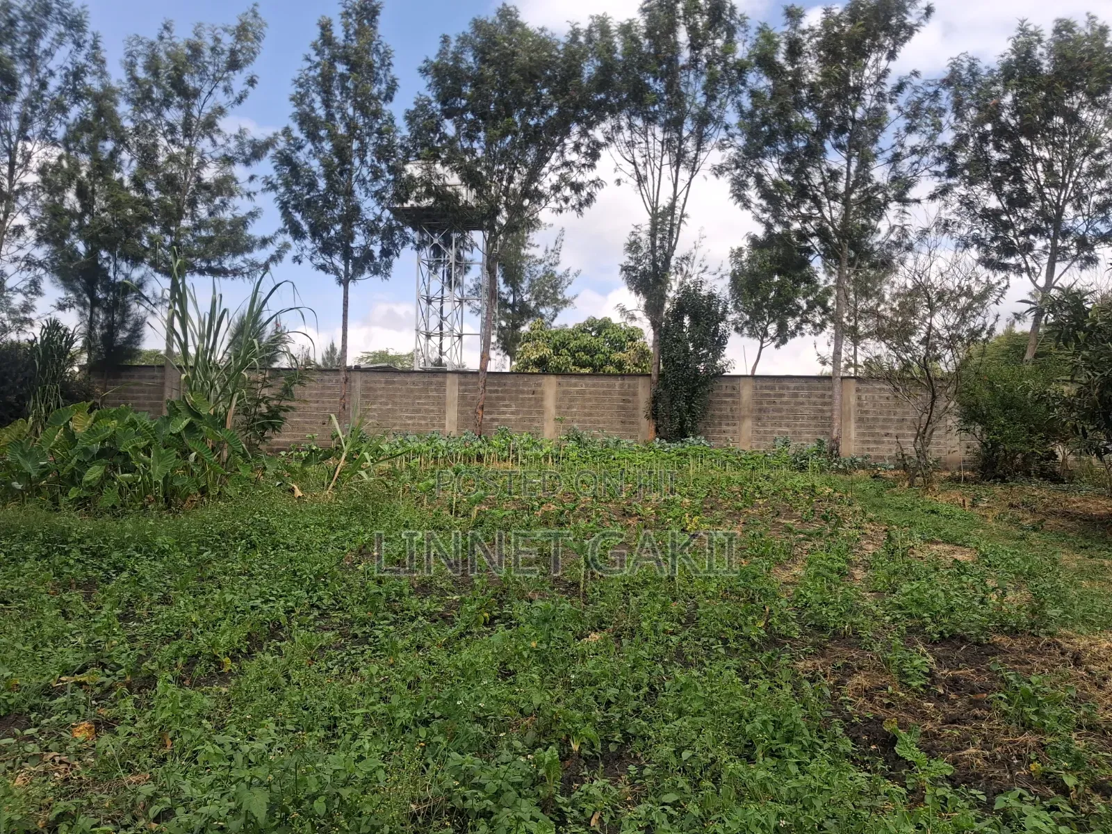 Land for Sale