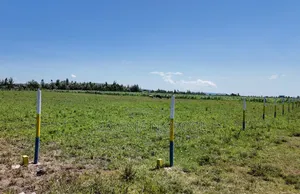 Plots on Sales