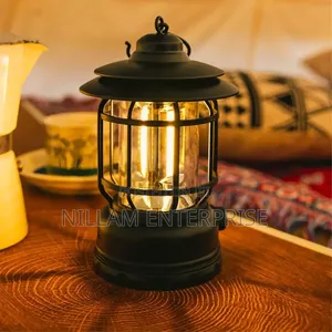 Multifunctional Camping Light*