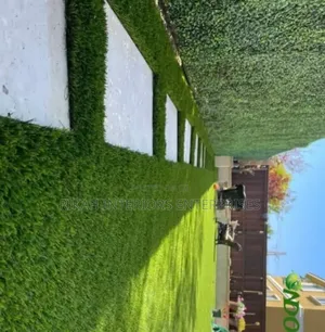 Outdoor Grass Carpets Grass Carpets Environmental Friendly Robertson's