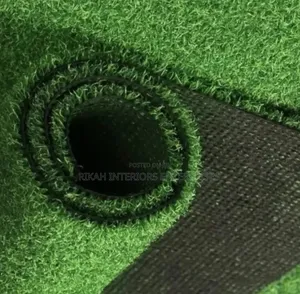 Outdoor Grass Carpets Grass Carpets Environmental Friendly Robertson's