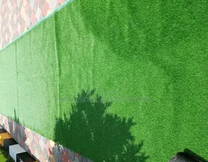 Walkway Grass Carpets Grass Carpets Environmental Friendly Robertson's