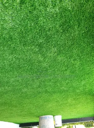 Artificial Grass Carpets Outdoor Grass Carpets Environmental Friendly