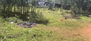 Prime 1/4 Acre Plot for Sale.