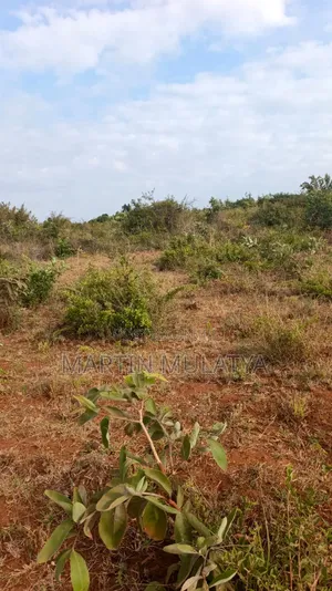 Land for Sell