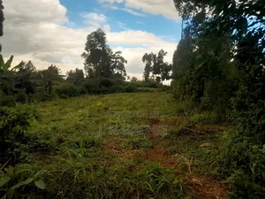 50/100 Plot on Sale at Kaspart Estate