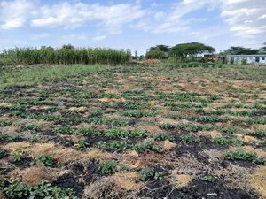 Very Prime Acre 100 Metres Off Kiseria-Isinya Tarmac Near Dawamu SCH