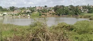 Prime Land for Sale