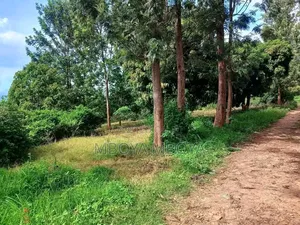 1acre Land for Sale in Brookside