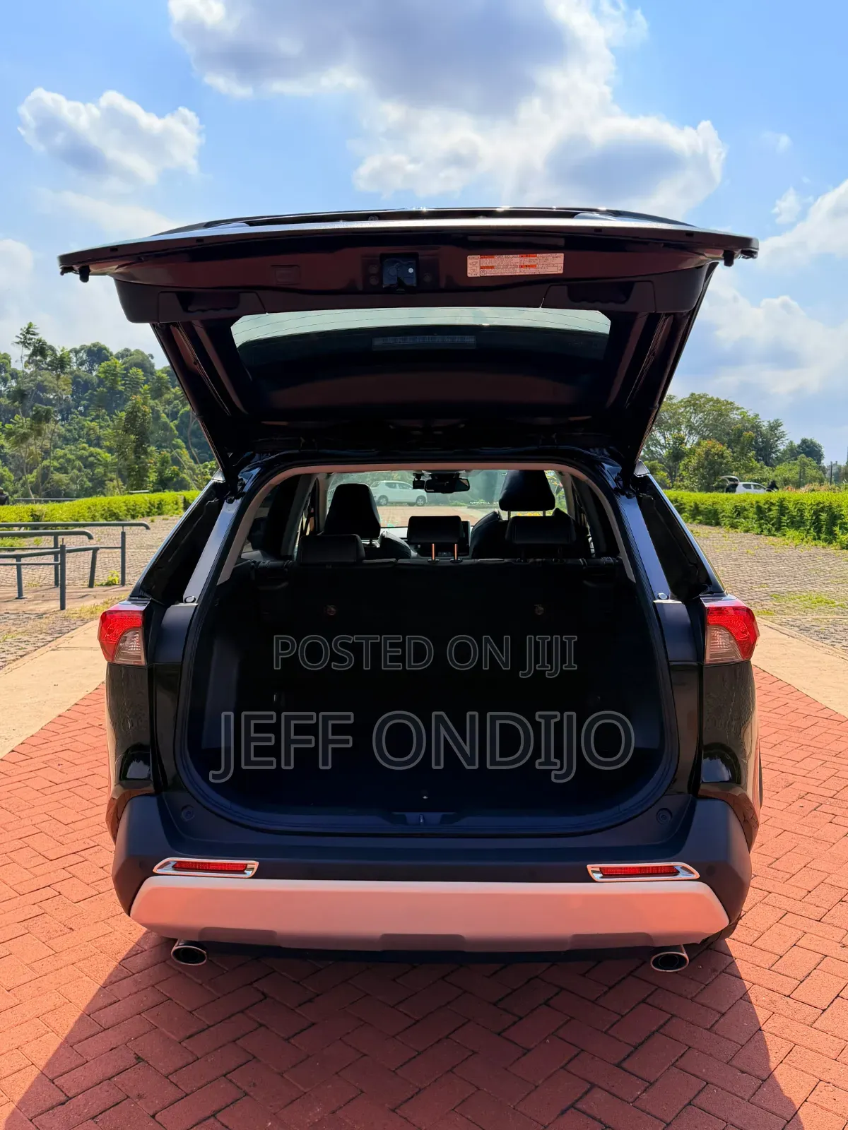 Toyota RAV4 2019 Blue