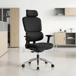 Office Orthopedic Chair-Full Fabric