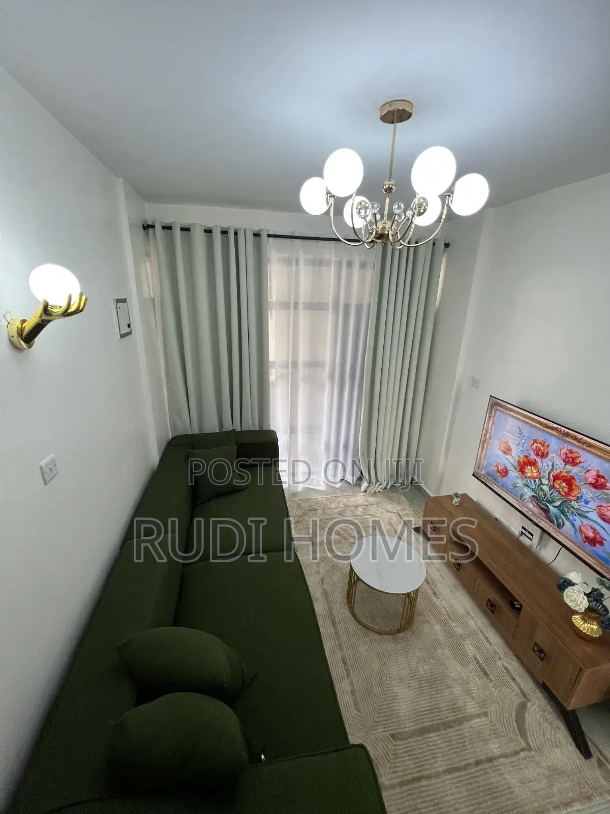 Rudi Homes Airbnbs