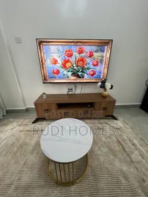 Rudi Homes Airbnbs