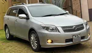 Toyota Corolla Fielder 2008 Silver