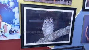 A1 Frame (24in by 32in)