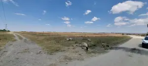 50 Acre Land for Sale in Kisaju