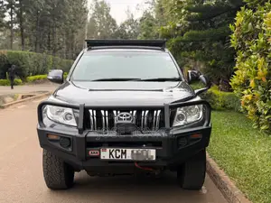 Toyota Land Cruiser Prado 4.0 i 2010 Gray