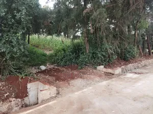 1/4 Acre Plot on Sale