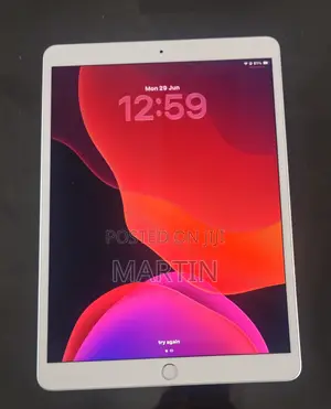 Apple iPad Air (2019) 256 GB Gray