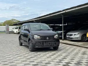 Suzuki Alto 2018 Maroon