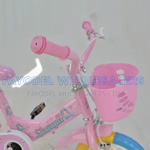 Shengdi Girls Bike Size 12