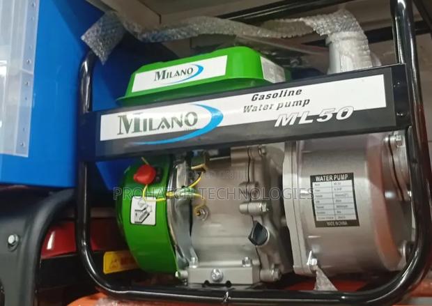 Ml50 Golosaline Water Pump( Milano) - main view