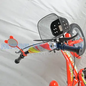 New Premier Lion Bicycle 12" – Safe Durable