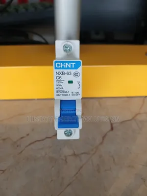 Chint MCB 6a
