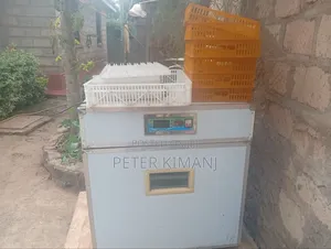 Egg Incubator Machine