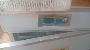 Egg Incubator Machine