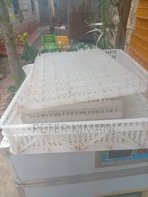 Egg Incubator Machine