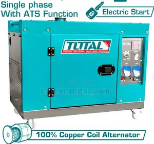 Total Diesel Silent Generator Tp265001