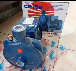 Pedrollo Electric Water Pump 1hp