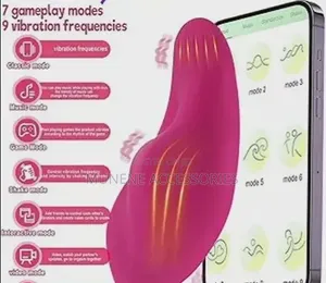 App Control Wearable Underwear G Spot Panty Vibrator Vibrating Panties