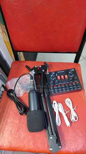 Professional Bm800 Mic +V8sk Sound Card for Live Streaming Recording