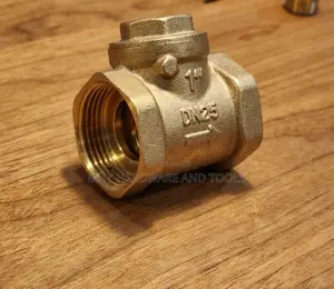 Lirlee Non-Return Valve 1"