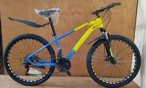 Mountain Bikes Size 24