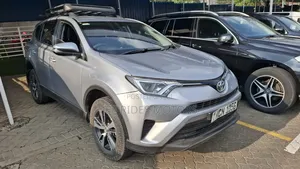 Toyota RAV4 2017 Gray