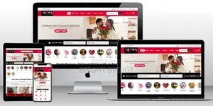 Professional Website Design Development Services