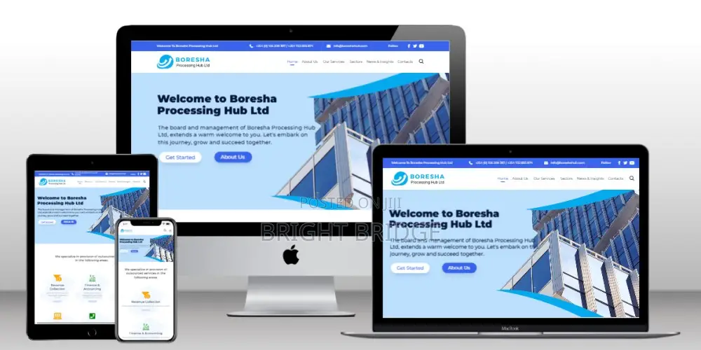 Professional Website Design Development Services