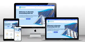 Professional Website Design Development Services