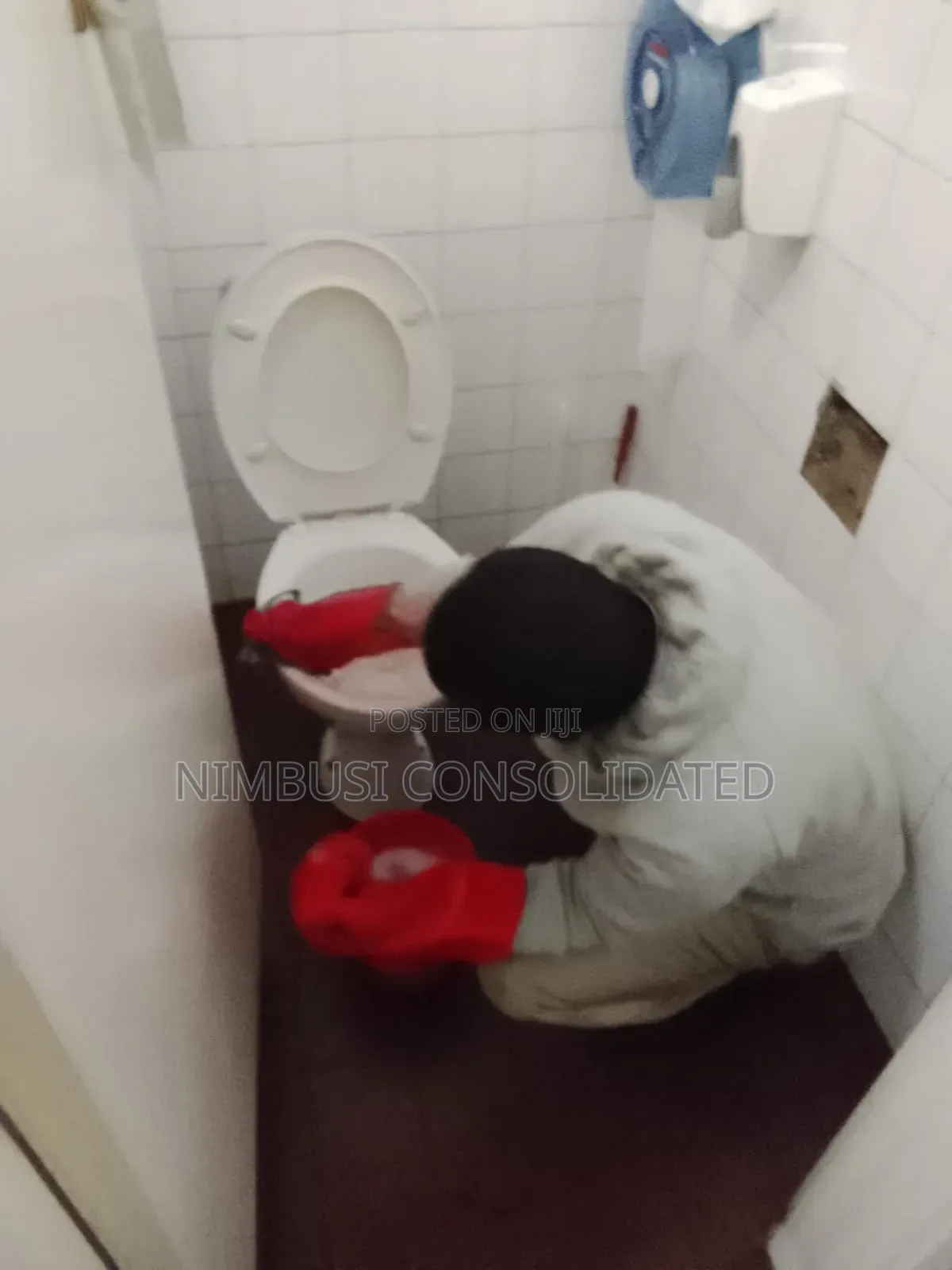 Toilet Destaining