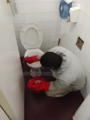Toilet Destaining